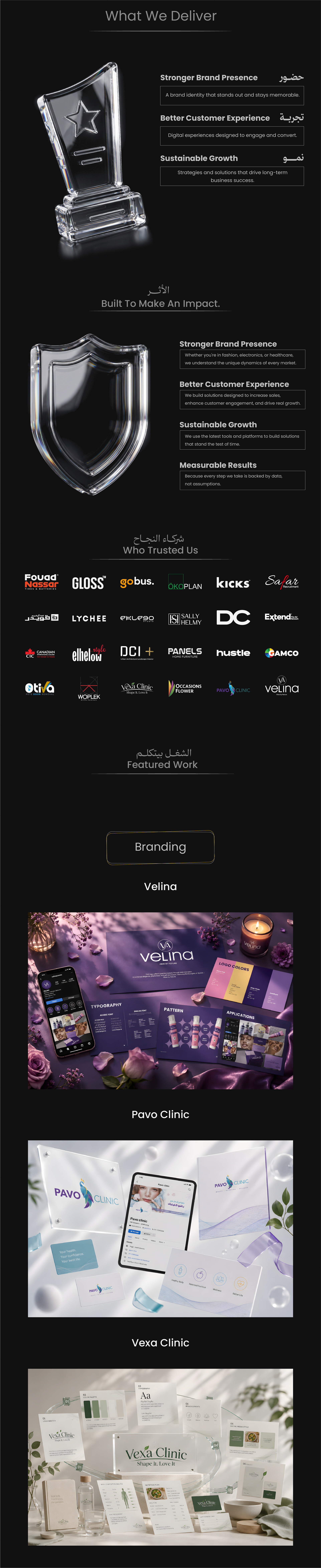 CairoDigits Company Profile